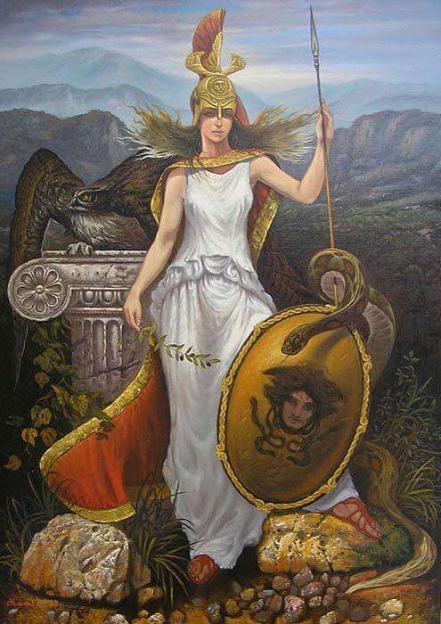 Symbols of Athena: The Owl, Aegis Shield, and Olive Tree