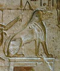 Images of relevant hieroglyphs or excerpts from ancient texts that mention Ammit.